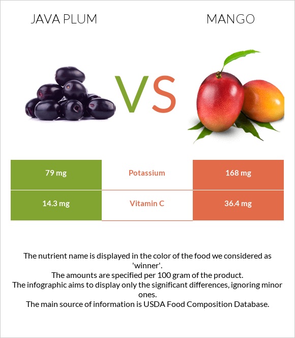 Java plum vs Մանգո infographic