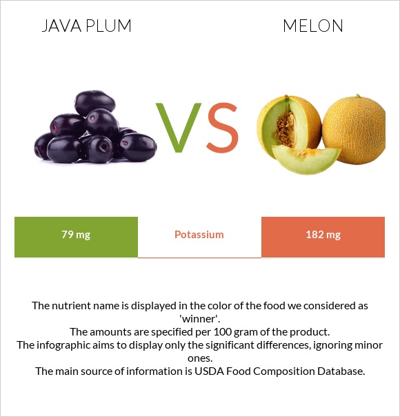 Java plum vs Melon infographic