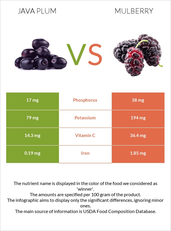 Java plum vs Mulberry infographic