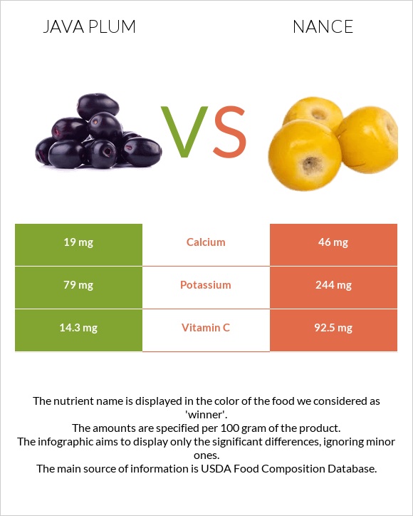 Java plum vs Նանս infographic