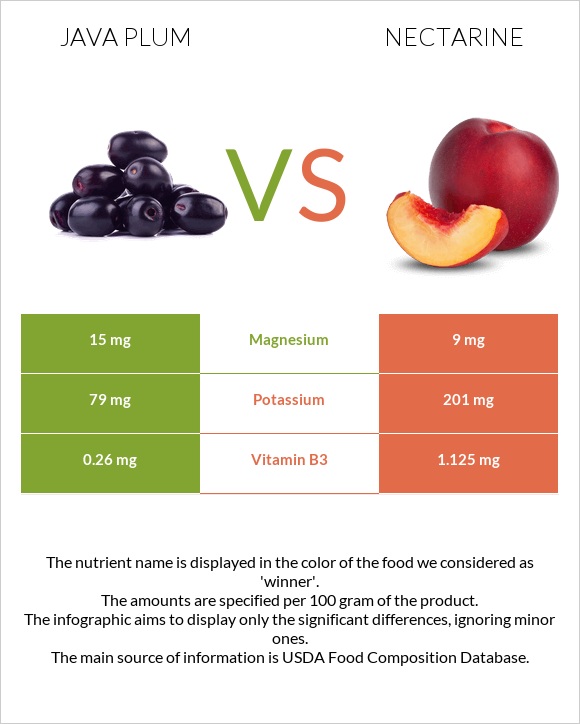 Java plum vs Nectarine infographic