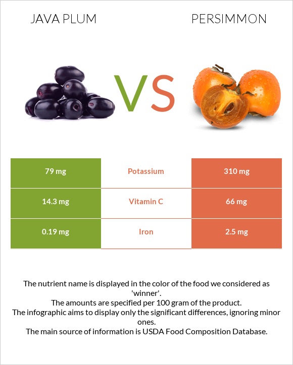 Java plum vs Persimmon infographic