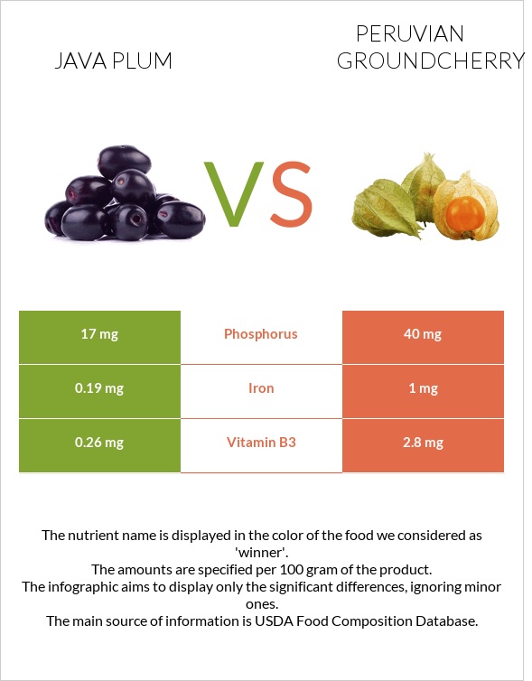 Java plum vs Peruvian groundcherry infographic