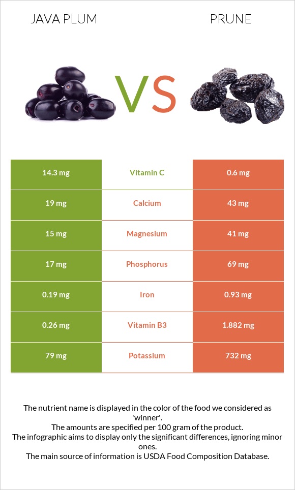 Java plum vs Prunes infographic