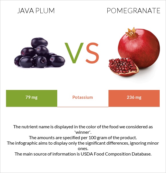 Java plum vs Pomegranate infographic
