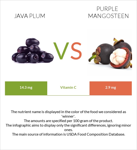 Java plum vs Purple mangosteen infographic