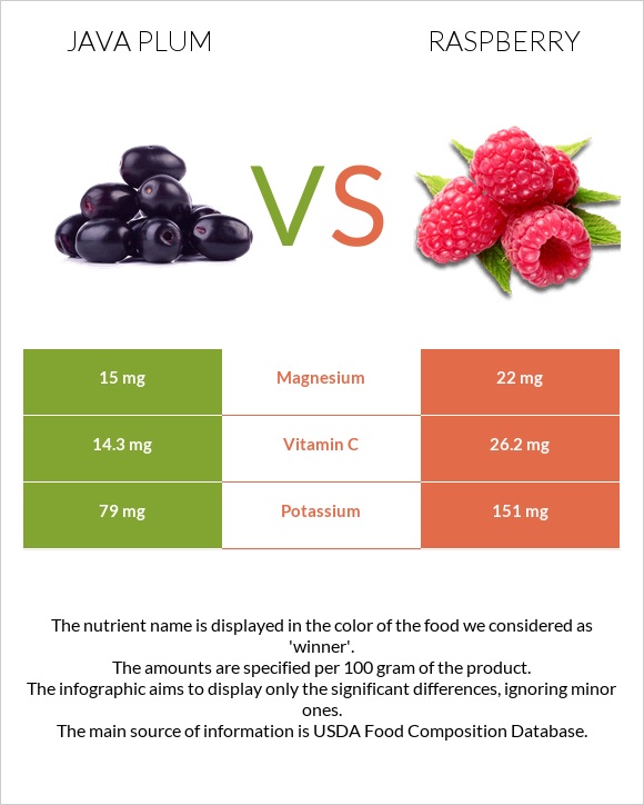 Java plum vs Raspberry infographic