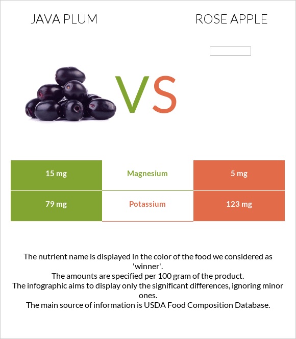Java plum vs Rose apple infographic