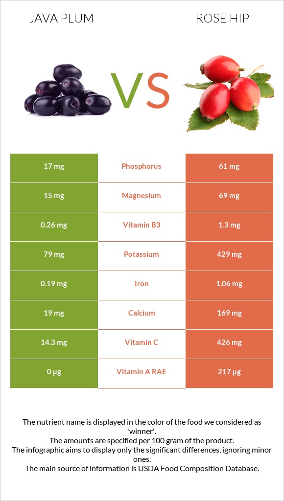 Java plum vs Rose hip infographic