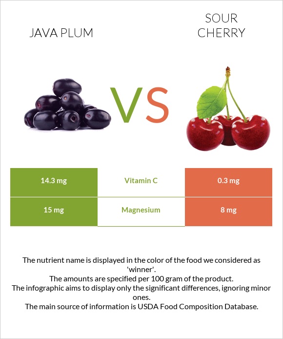 Java plum vs Թթու բալ infographic