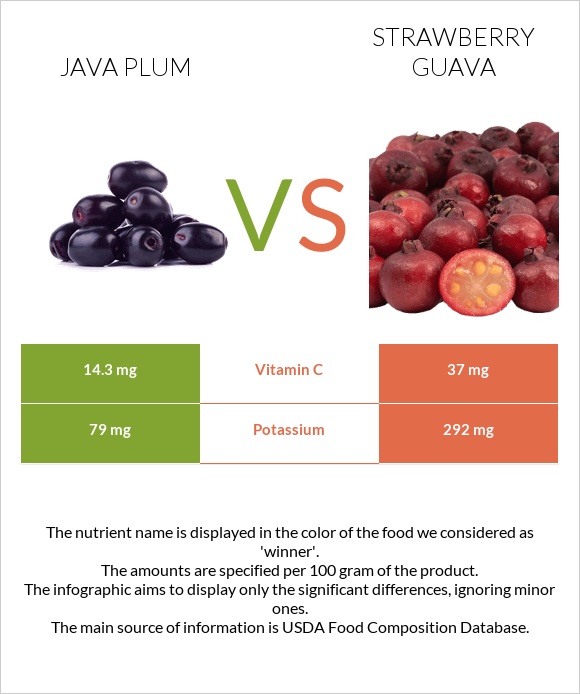 Java plum vs Ելակի գուավա infographic