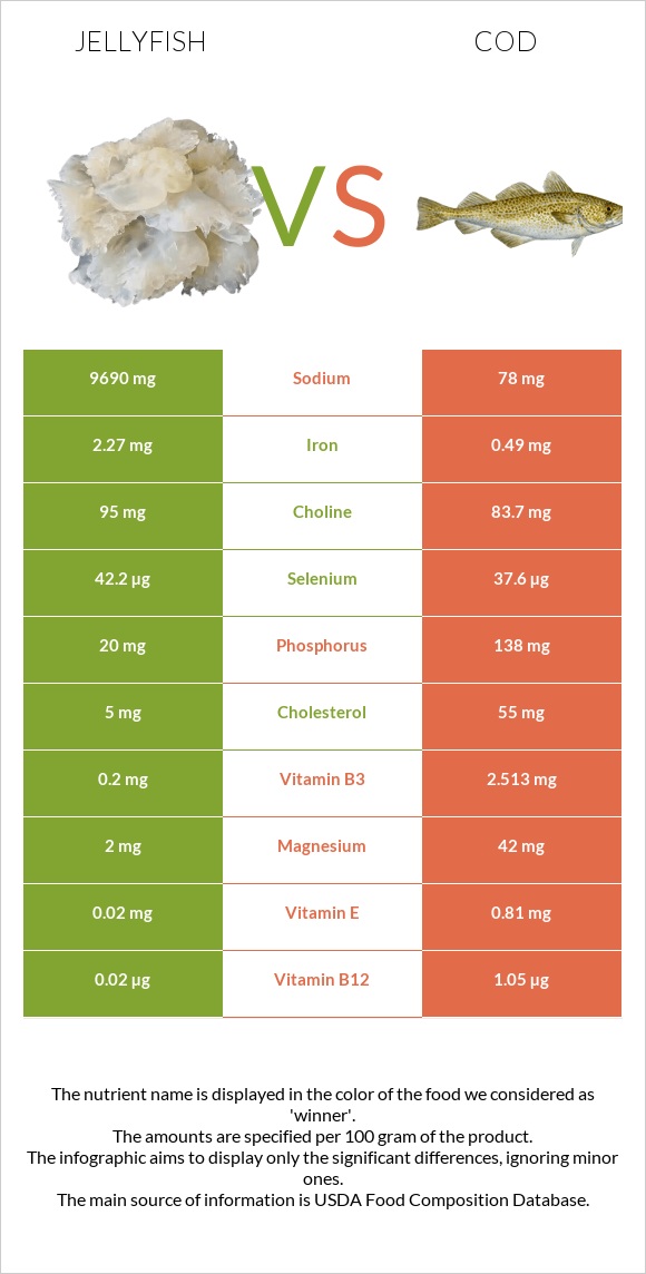 Մեդուզա vs Ձողաձուկ infographic