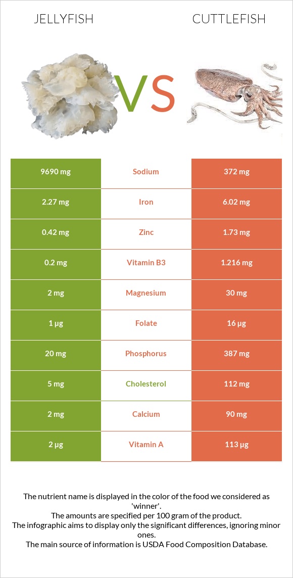 Jellyfish vs Cuttlefish infographic