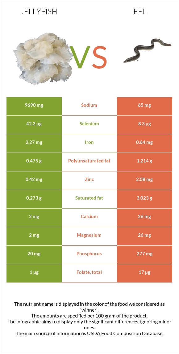 Jellyfish vs Eel infographic