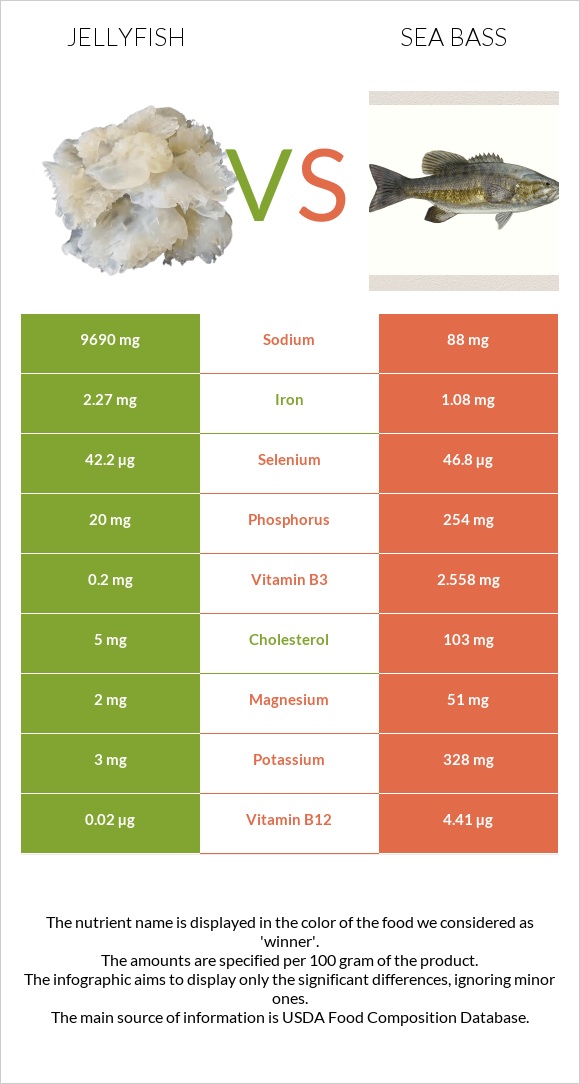 Jellyfish vs Sea bass infographic