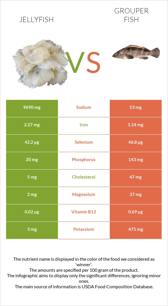 Jellyfish vs Grouper fish infographic