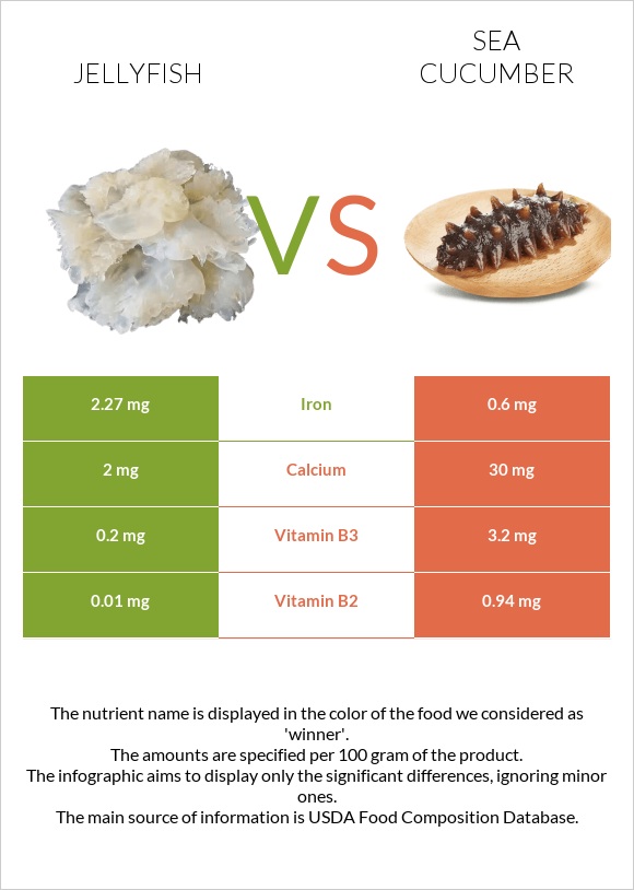 Jellyfish vs Sea cucumber infographic