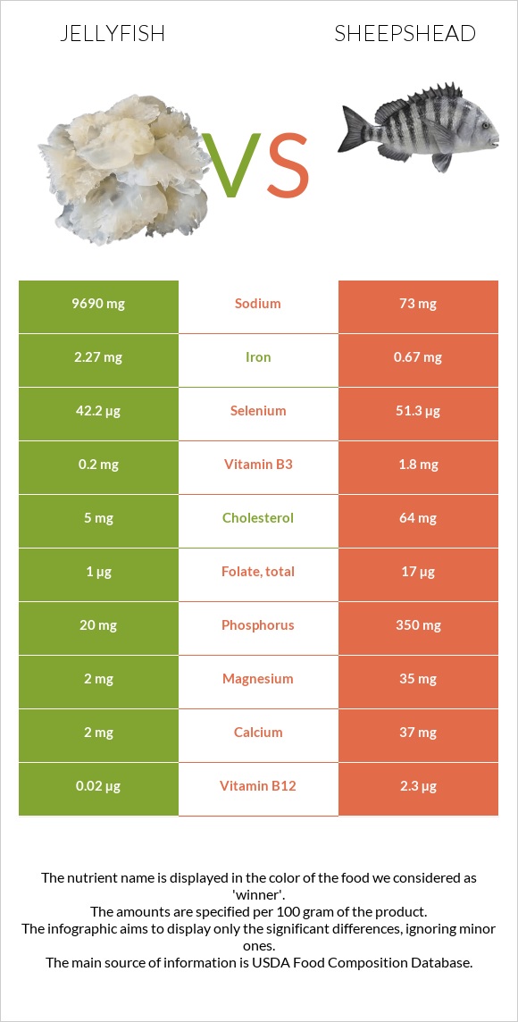 Jellyfish vs Sheepshead infographic