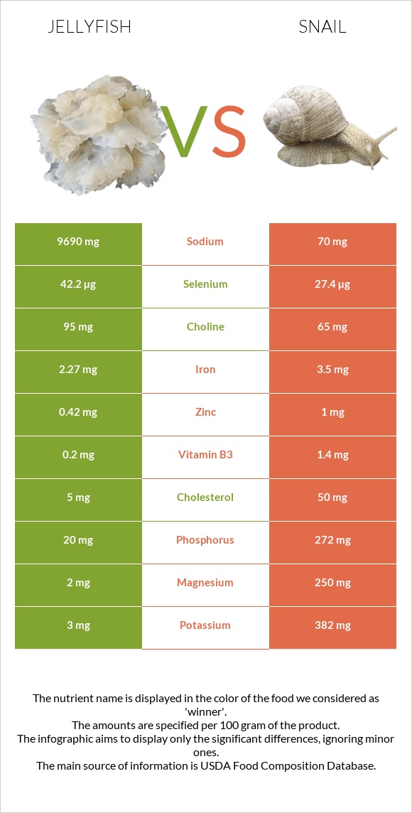 Jellyfish vs Snail infographic