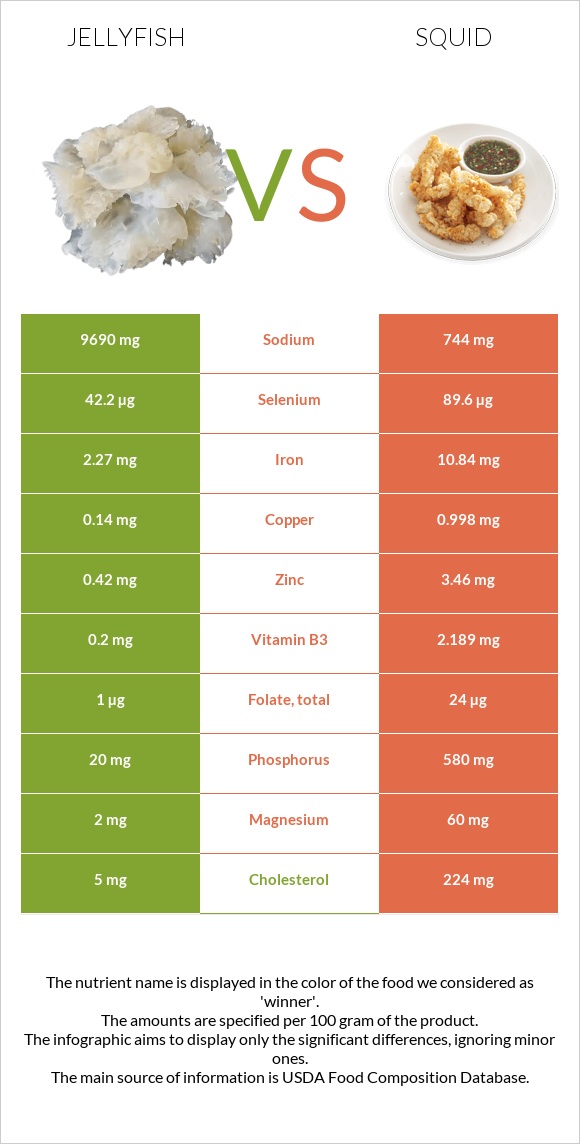 Jellyfish vs Squid infographic