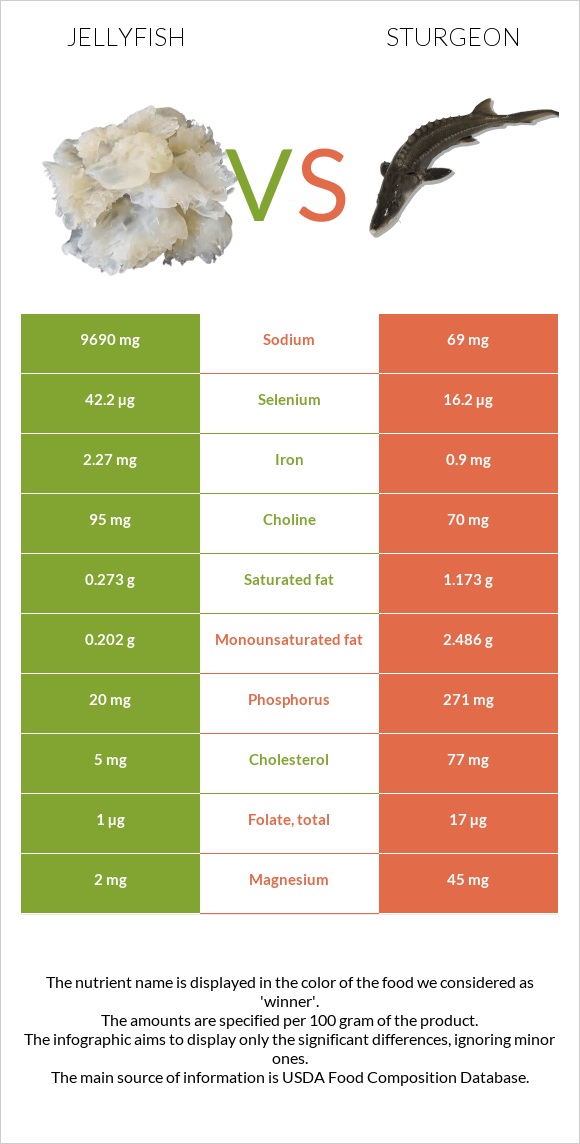 Jellyfish vs Sturgeon infographic