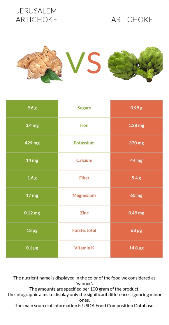Jerusalem artichoke vs Artichoke infographic