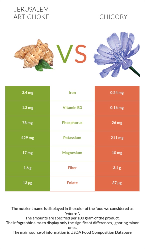 Jerusalem artichoke vs Chicory infographic