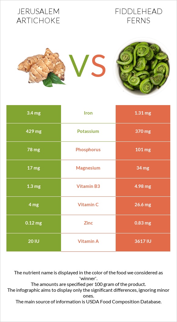 Jerusalem artichoke vs Fiddlehead ferns infographic