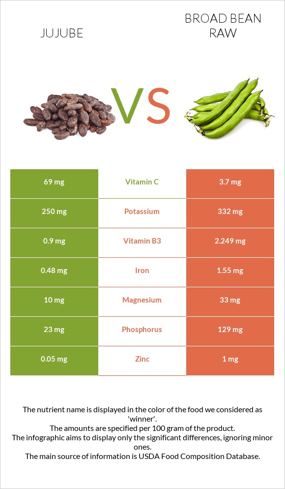 Jujube vs Broad bean raw infographic