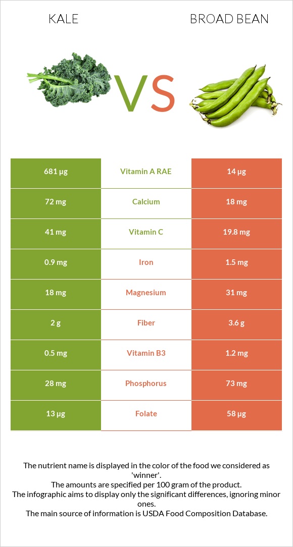 Kale vs Broad bean infographic
