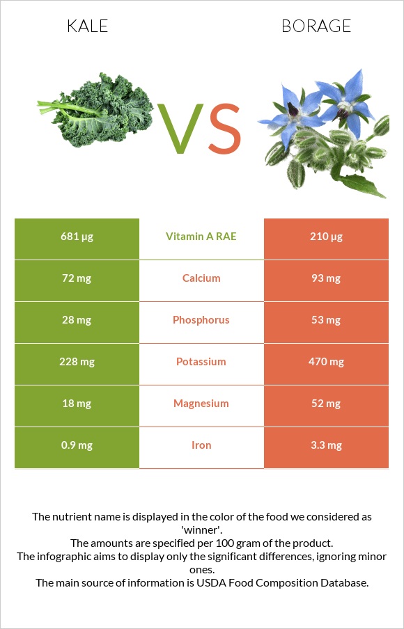 Kale vs Borage infographic
