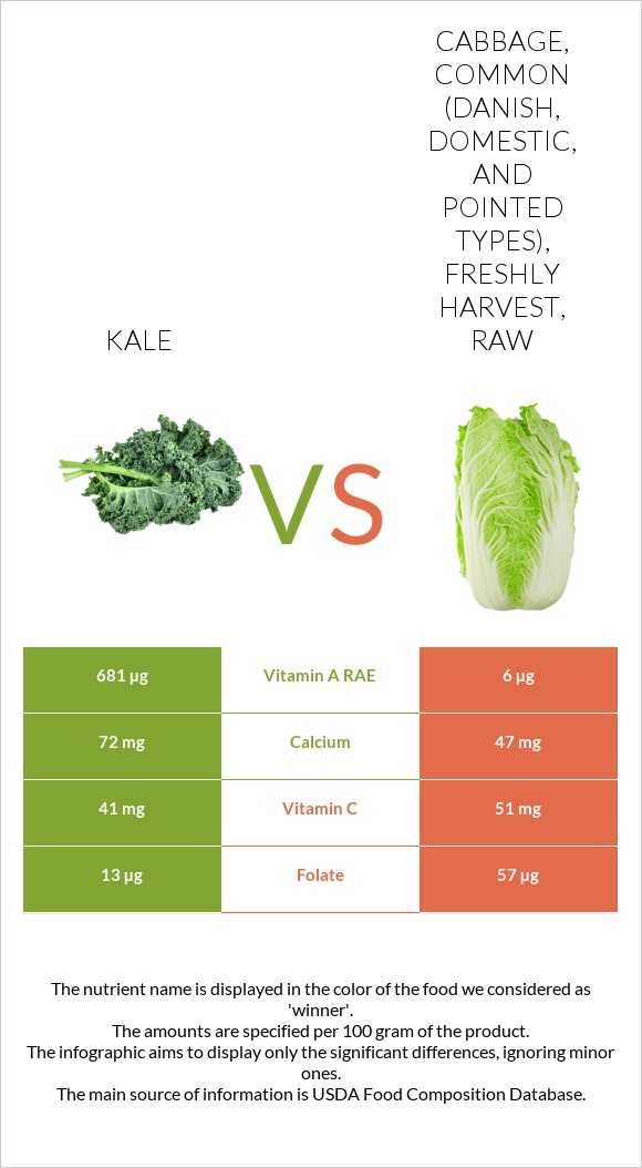 Kale vs. Cabbage, common (danish, domestic, and pointed types), freshly ...