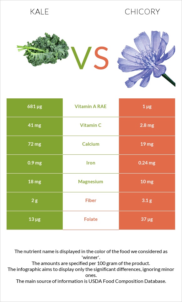 Kale vs Chicory infographic