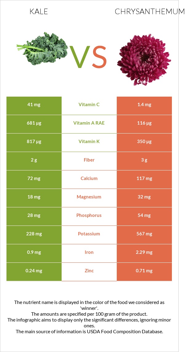 Kale vs Chrysanthemum infographic