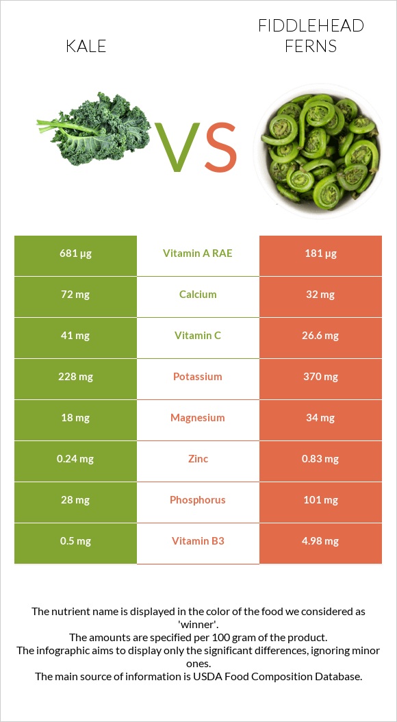Kale vs Fiddlehead ferns infographic