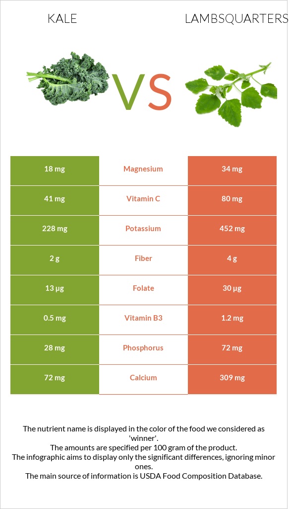 Kale vs Lambsquarters infographic