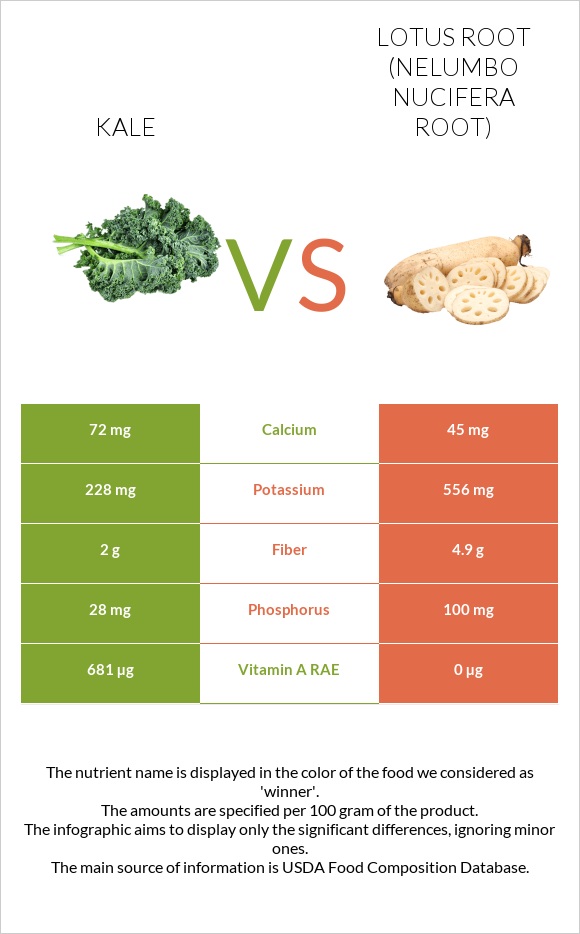Kale vs Լոտոս արմատ infographic