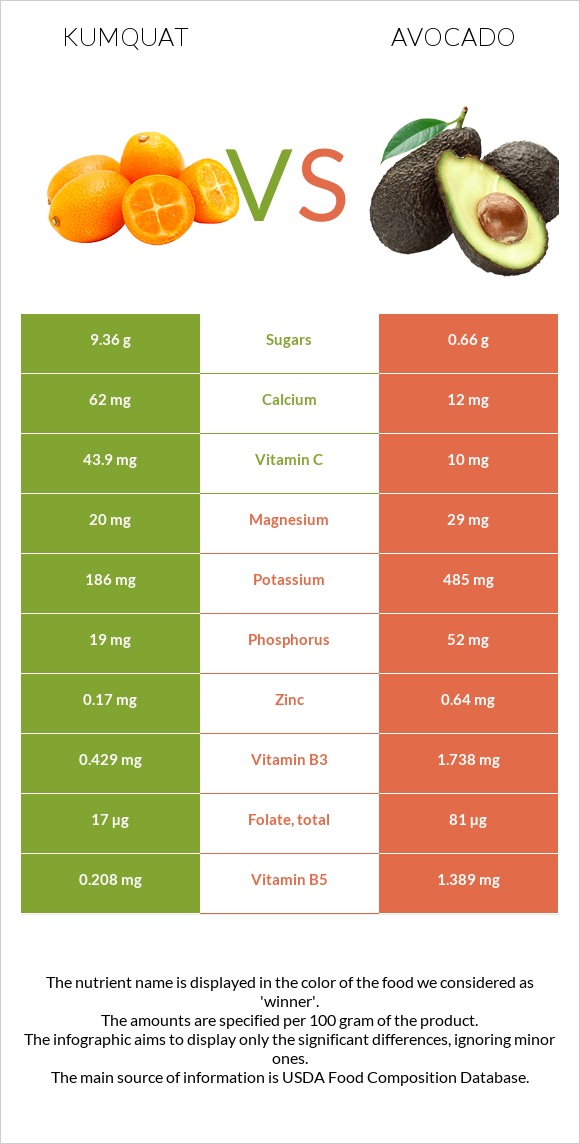 Kumquat vs Avocado infographic