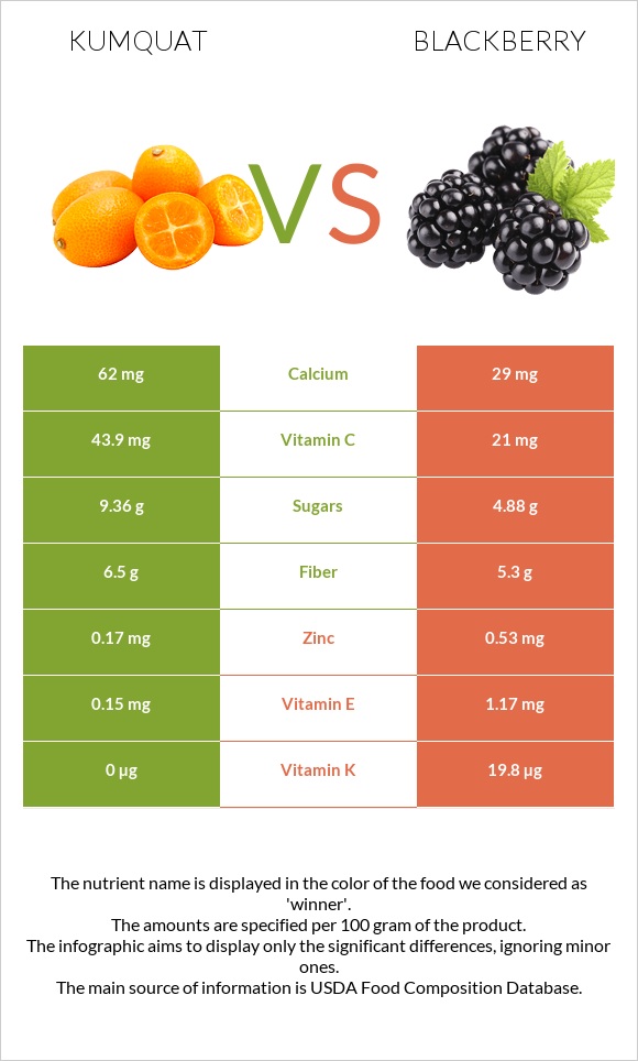 Kumquat vs Blackberry infographic