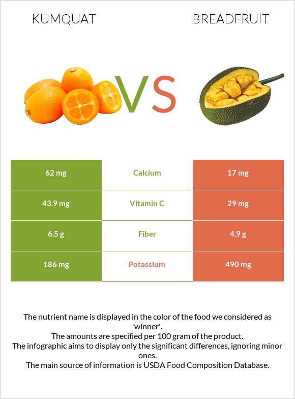 Kumquat vs Breadfruit infographic