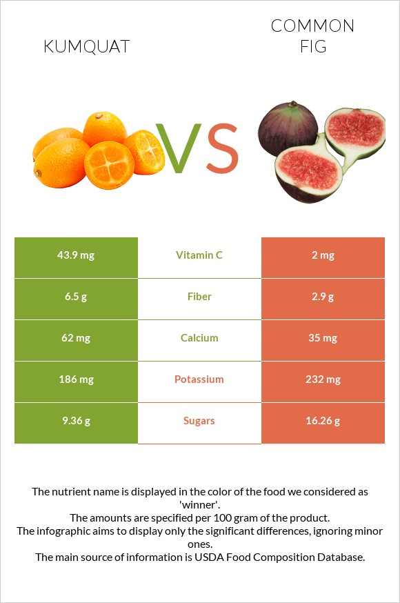 Kumquat vs Common fig infographic