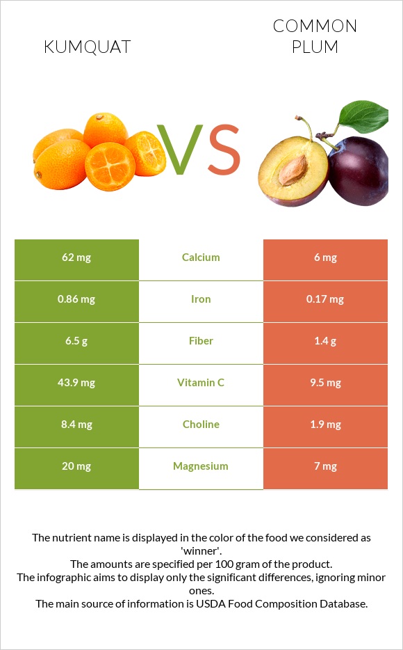 Kumquat vs Common plum infographic