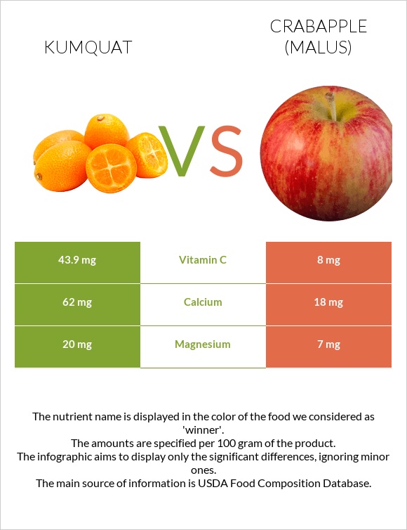 Kumquat vs Crabapple (Malus) infographic