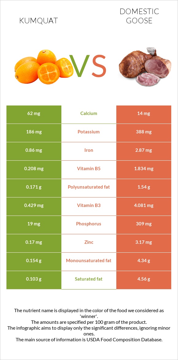 Kumquat vs Domestic goose infographic