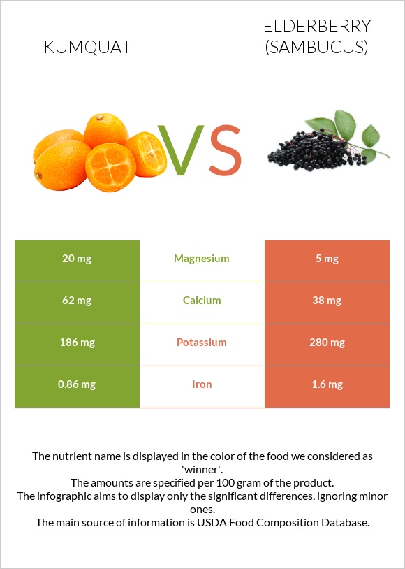 Kumquat vs Elderberry infographic