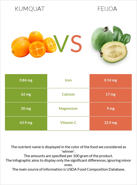 Kumquat vs Feijoa infographic