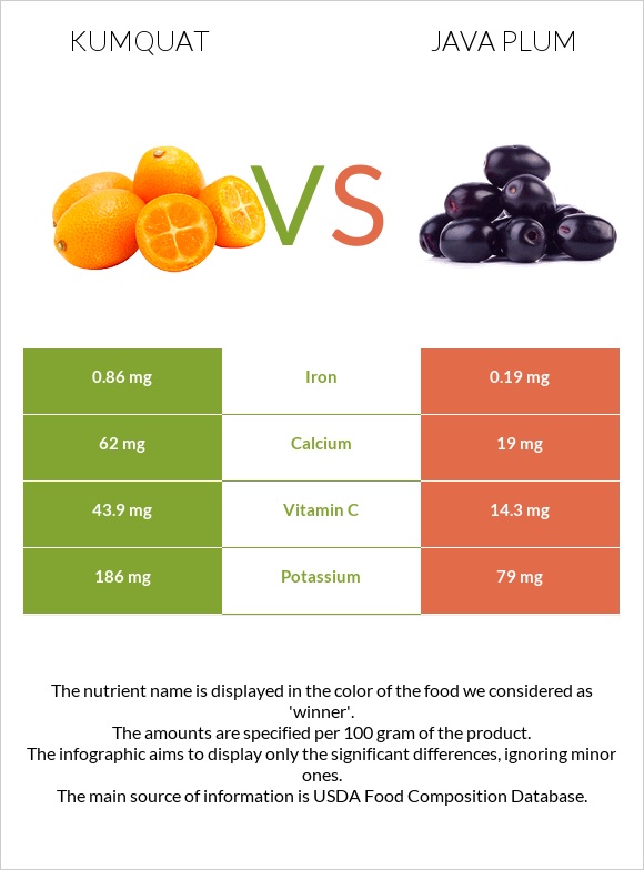 Kumquat vs Java plum infographic
