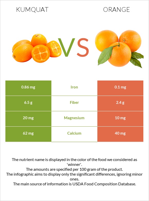 Kumquat vs Orange infographic