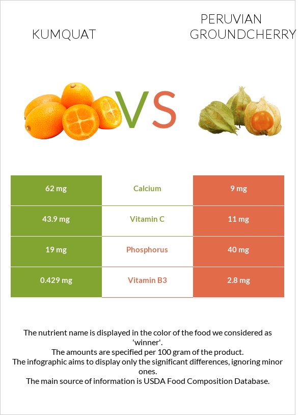 Kumquat vs Peruvian groundcherry infographic