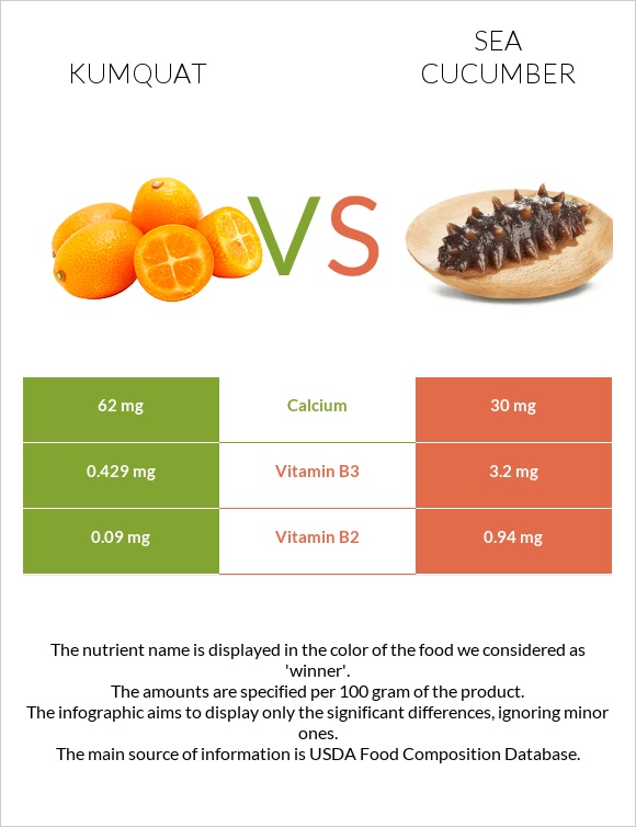 Kumquat vs Sea cucumber infographic